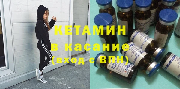 сатива Алзамай