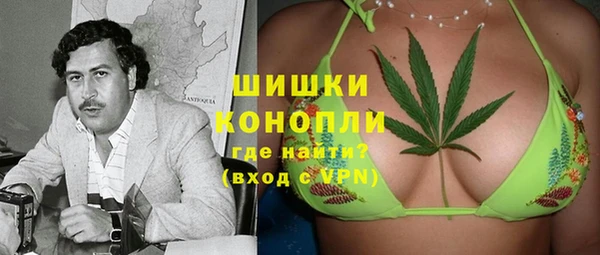 сатива Алзамай