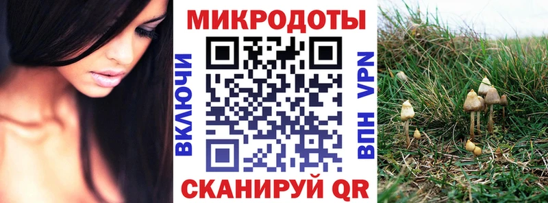 купить закладку  Хадыженск  Галлюциногенные грибы Magic Shrooms 